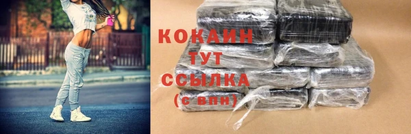 амф Гусиноозёрск