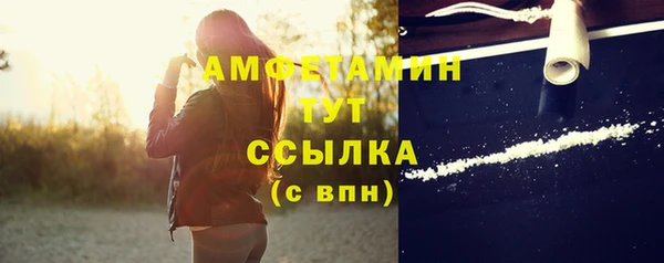 гидра Горно-Алтайск