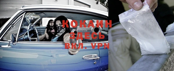 мяу мяу мука Новосибирск